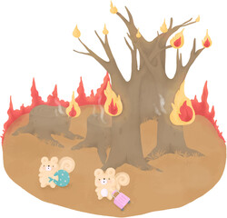 Wildfire Destruction Nature Disaster Emergency Forest Fire