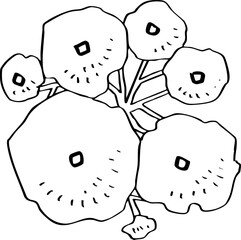 minimalist hand drawn cartoon top view of tree illustration