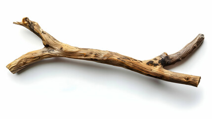Dry Tree Branch Isolated on a White Background Shows Natural Texture and Decay