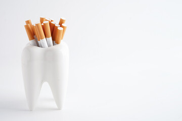 Cigarette in teeth model isolated on white background, damage the health of your teeth, No smoking.