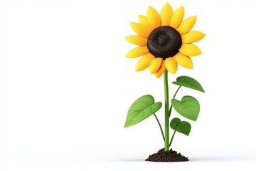 Obraz premium Bright and Cheerful Sunflower with Leaves and Soil on White Background