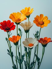 Fototapeta premium Aesthetic Flower Arrangement: A beautiful and organized collection of flowers like daisies and roses with sharp lines, set on a pristine white background