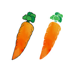Carrot watercolor doodle cartoon vector with different styles of drawing.