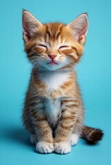 Obraz premium Adorable Ginger Tabby Kitten with Bright Blue Background Smiling and Enjoying the Moment Captured in Studio Setting