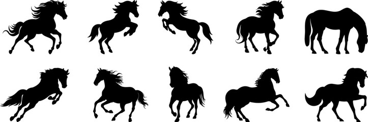 Group of Horse postures silhouettes.
