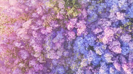 Enchanting Floral Mosaic: Vibrant Lilac, Rose, and Sky-Blue Flowers in the Midday Sun Cinematic Image