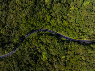 Forest road, road in a forest with fog, taken from a top down drone photo, A car is driving on an...