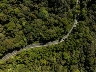 Forest road, road in a forest with fog, taken from a top down drone photo, A car is driving on an asphalt highway road through a dense green rainforest landscape in Thailand, In the style of comme