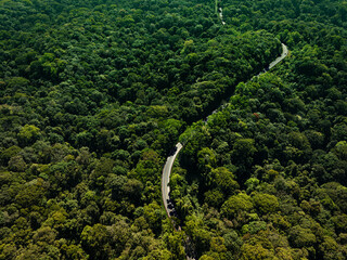 Forest road, road in a forest with fog, taken from a top down drone photo, A car is driving on an asphalt highway road through a dense green rainforest landscape in Thailand, In the style of comme