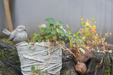 
A small flower pot with a plant is placed on a tree stump, and a bird figurine is sitting on the edge of the pot.