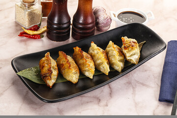 Fried Japanese stuffed dumplings - Gyoza