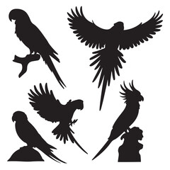 Vector parrot silhouettes of amazon jungle isolated on white background