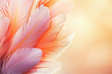 Naklejka premium Vintage coral pink color trends adorned with feather texture background