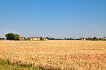 Fototapeta premium Campagna