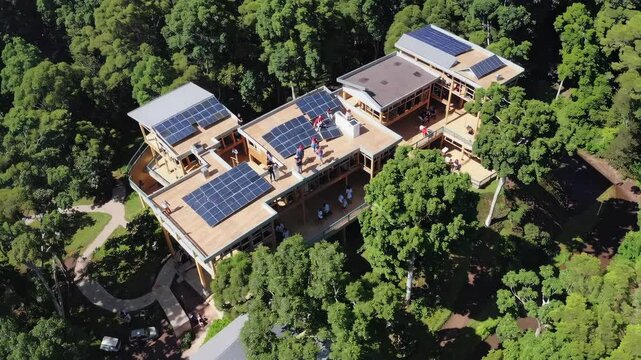 Design an eco-friendly educational facility in the heart of a rainforest, ensuring minimal environmental impact and maximal connection to nature