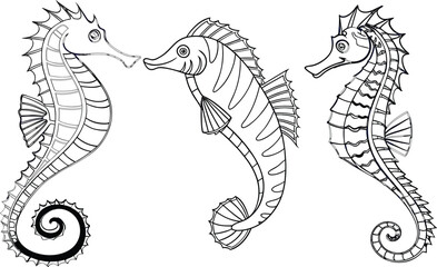 Flying fish bundle line art and illustrator eps