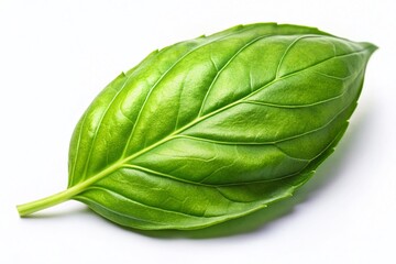 Obraz premium Fresh Basil Leaf Isolated on White Background - Minimalist Food Photography