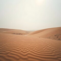 Whispers in the Sand A Tranquil Desert Tapestry