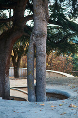Amphitheater in Dilijan, Armenia in  an autumn