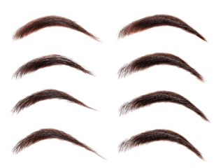 Isolated Set of Eyebrows