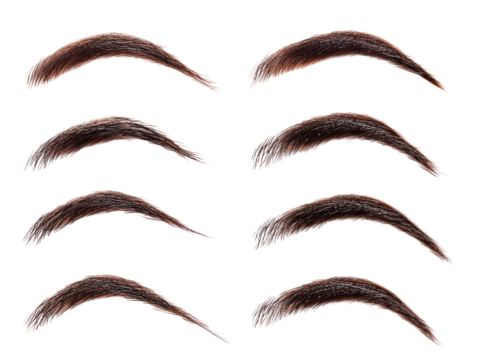 Isolated Set of Eyebrows