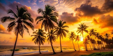 Obraz premium Ghanaian Wild Atlantic Beach Sunset: Palm Silhouette Bokeh Photography