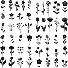 set of black silhouettes of flowers, black and white floral elements