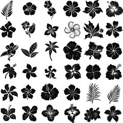 set of black and white flowers