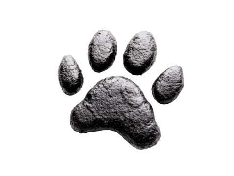 Isolated Black Paw Print Texture