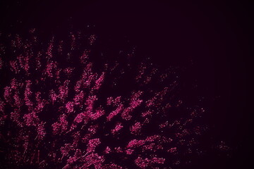 background with space for text. Ornate stylish festive background in red colors. Decorative bright old backdrop in light and dark tones. Cool creative image for postcard layout. Modern art of seamless