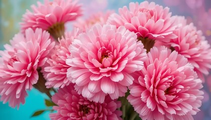 Pink flowers bouquet in bright mood on colorful background
