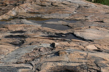Water has collected on the rock's surface. The rock is a brown color and smooth. In hilly areas, during monsoon season, rain water gets collected in these rocks. Small water pond on top of the rock.