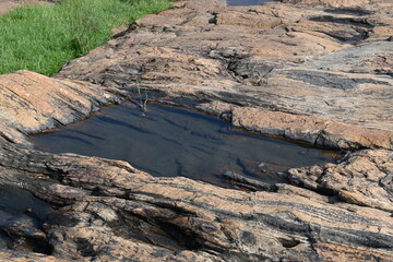 Water has collected on the rock's surface. The rock is a brown color and smooth. In hilly areas, during monsoon season, rain water gets collected in these rocks. Small water pond on top of the rock.
