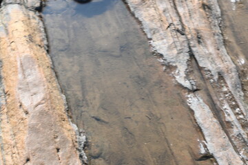 Water has collected on the rock's surface. The rock is a brown color and smooth. In hilly areas, during monsoon season, rain water gets collected in these rocks. Small water pond on top of the rock.