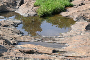 Water has collected on the rock's surface. The rock is a brown color and smooth. In hilly areas, during monsoon season, rain water gets collected in these rocks. Small water pond on top of the rock.