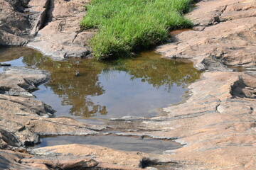 Water has collected on the rock's surface. The rock is a brown color and smooth. In hilly areas, during monsoon season, rain water gets collected in these rocks. Small water pond on top of the rock.