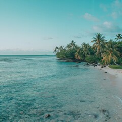 Fototapeta premium Serene Tropical Beach with Gentle Waves and Lush Palm Trees Under Clear Blue Sky and Soft White Clouds in a Tranquil Coastal Paradise