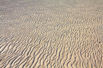 Beach sand ripples texture