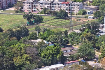Obraz premium Urban agriculture in Havana, Cuba
