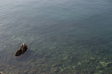 Background of clear sea water with stones and algae on the coast of Montenegro. High quality photo