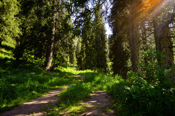 Fototapeta premium Views of nature and mountains on a popular hiking route in the mountains not far from Almaty. Summer landscapes in the mountains.