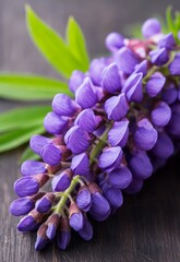 Vibrant Purple Wisteria Blossoms Against Rustic Wooden Texture Background