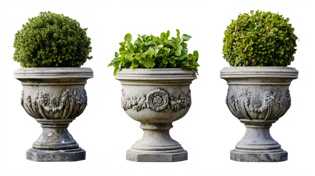 Set of three ornate stone planters with lush greenery on isolated transparent PNG background, ideal for garden design, landscaping concepts, and decorative projects