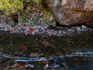 688-103 Rock Creek Details