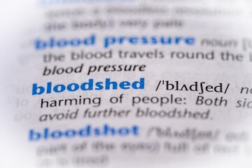 Bloodshed word in a dictionary. Selective focus, close up.