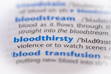 Bloodthirsty word in a dictionary. Selective focus, close up.