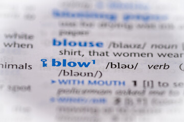 Blow word in a dictionary. Selective focus, close up.