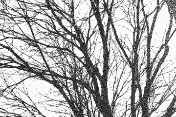 Abstract curve PNG pattern with texture for interior backgrounds and line art. Graphic elements designed for architectural and landscape designs, featuring patterns.