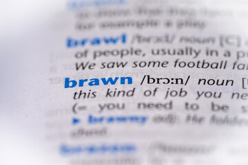 Brawn word in a dictionary. Selective focus, close up.