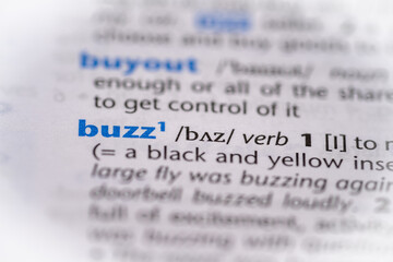Buzz word in a dictionary. Selective focus, close up.